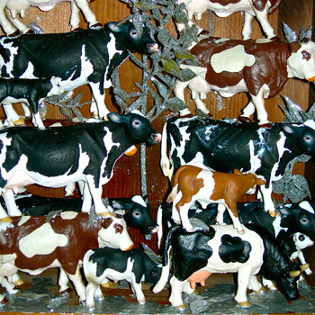 Cow box